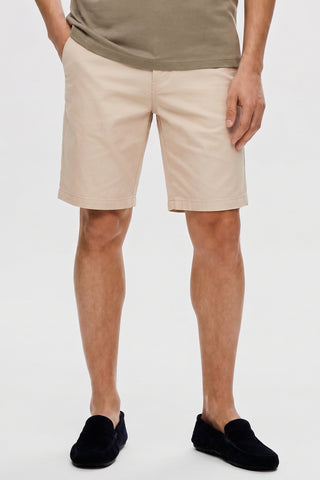 The Daylong Shorts - The First Shell