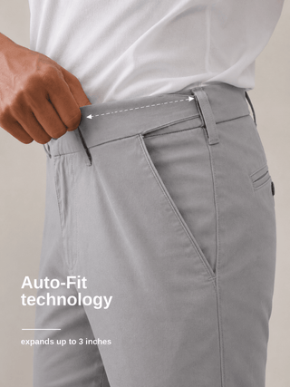 The Regular Fit Daylong Chino - Stone Mouse