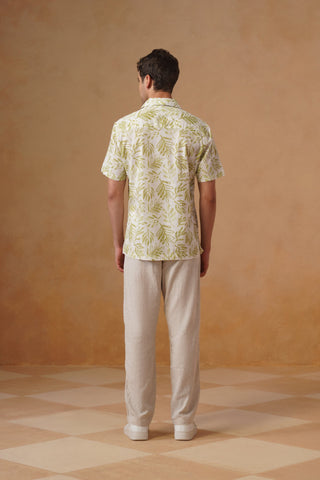 Green Printed Cotton Shirt – Regular Fit, Half Sleeves