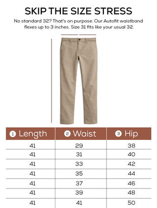 The Regular Fit Daylong Chino - Square Potato