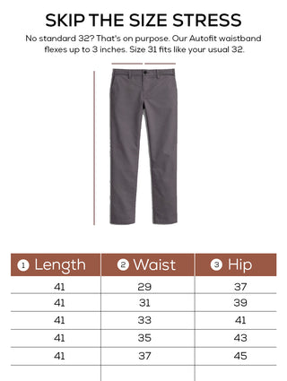 The Slim Fit Daylong Chino - Stolen Hide