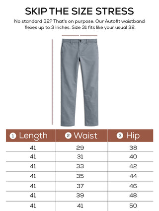 The Regular Fit Daylong Chino - Stone Mouse